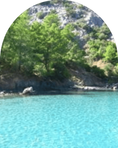 Ceneviz Koyu